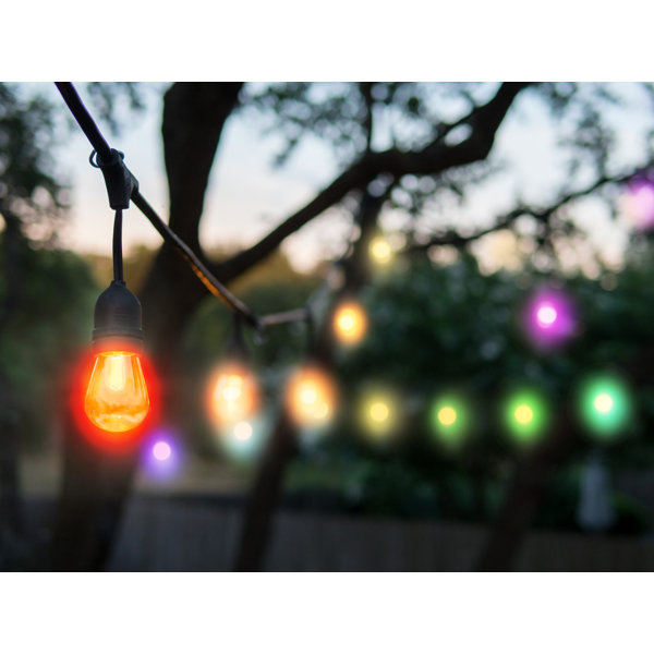 Arlmont & Co. Cortnie Outdoor 15 Bulb 48'' Plugin String Light & Reviews Wayfair